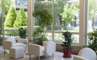Pourquoi fleurir vos locaux ? Nous vous répondons en 3 points