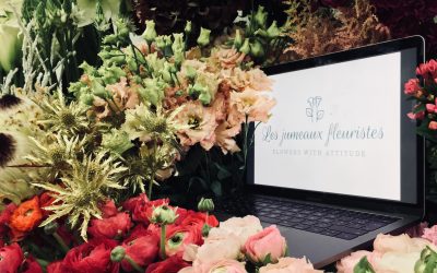 A la recherche d’un·e stagiaire en marketing digital