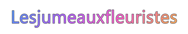 Les jumeaux fleuristes